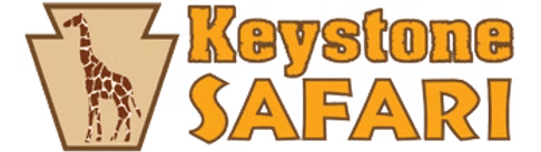 View Keystone Safari 