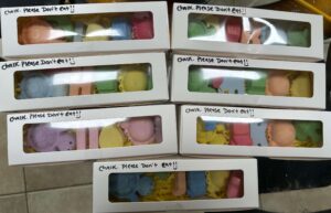 Plaster Paint and Dreams