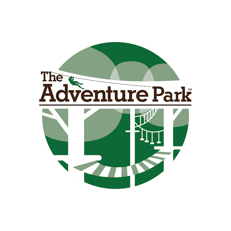 View The Adventure Park at The Discovery Museum